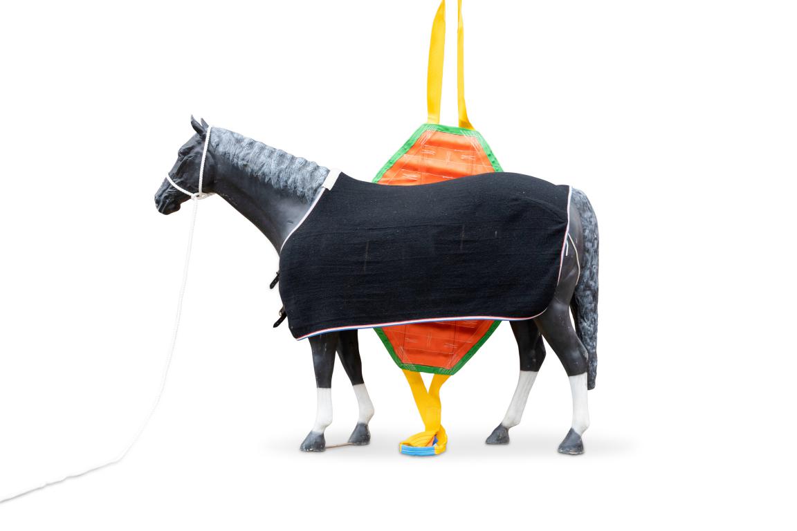 45 Webshop RescueHorse Team 2019